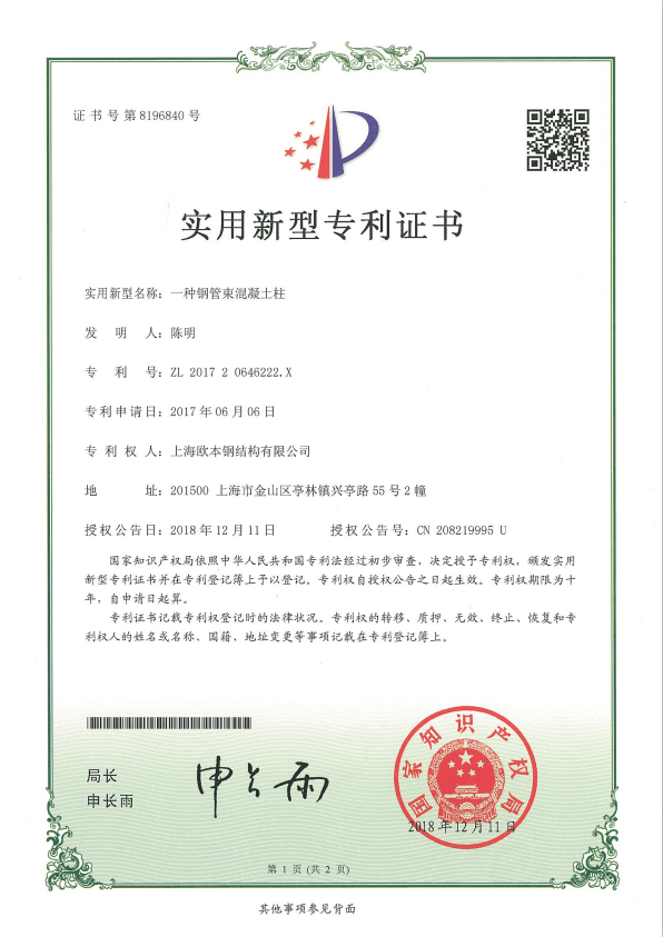 一种钢管束混凝土柱